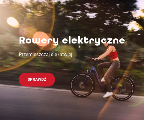 Elektryki