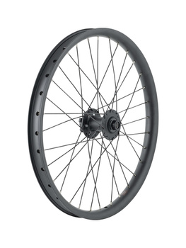 Trek Cargo Bike 6-Bolt Disc 20" Wheel