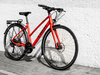 Rower Trek FX 2 Disc Equipped Stagger