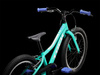 Rower Trek Precaliber 20 Freewheel