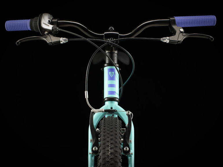 Rower dziecięcy Trek Precaliber 24" 8-biegowy