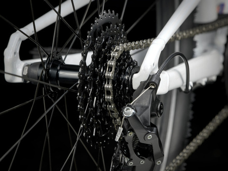 Rower Trek Wahoo 26 Path