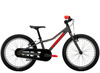 Rower Trek Precaliber 20 Freewheel
