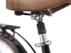 Rower Trek Townie Commute Go! 5i Step-Over