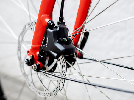 Rower Trek FX 2 Disc Equipped Stagger