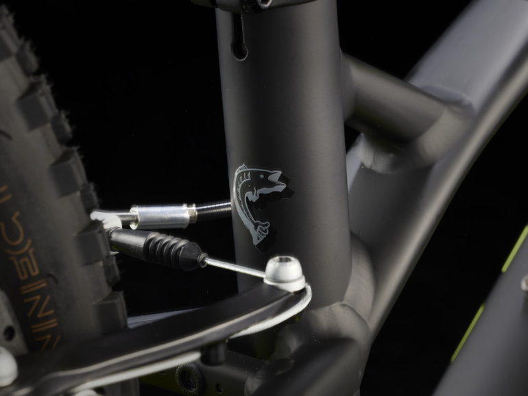 Rower Trek Wahoo 20 Path