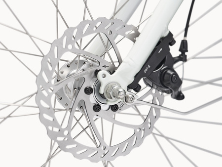 Rower Trek Loft Go! 7D EQ ze standardową rurą górną