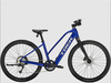 Rower Trek Dual Sport+ 2 Mid-step LT