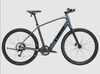 Rower Trek Dual Sport+ 2 LT