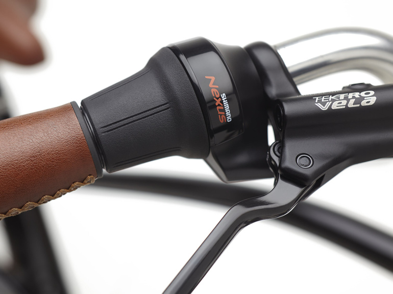 Rower Trek Townie Go! 5i Step-Over