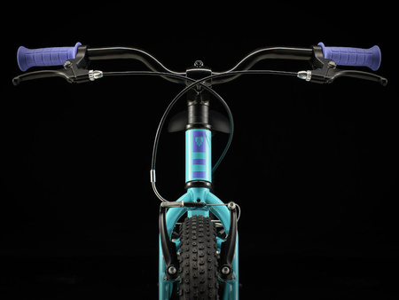 Rower Trek Precaliber 20 Freewheel