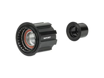 Bontrager DT240 Campagnolo N3W Freehub Body